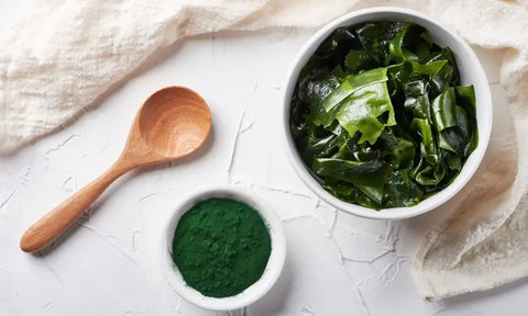 Les études sur la Spiruline