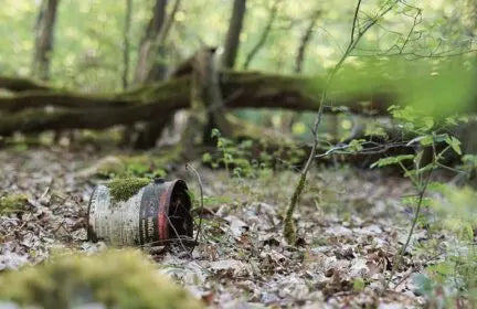 World-CleanUp-Day-une-vague-verte-pour-nettoyer-la-planète Algorigin