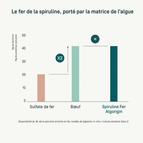 Spiruline Fer Bio