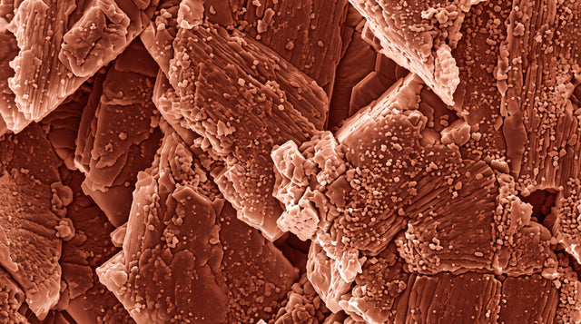 Le Lithothamne