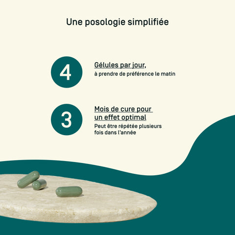 AFA Klamath Bio — conseils d’utilisation