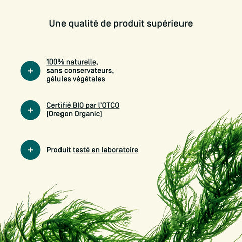 AFA Klamath Bio — qualité & traçabilité