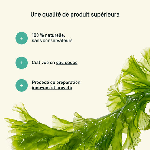 Chlorella Bio — qualité & traçabilité