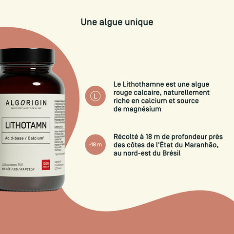 Lithotamne Bio — formulation unique