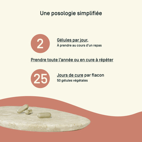 Lithotamne Bio — conseils d’utilisation