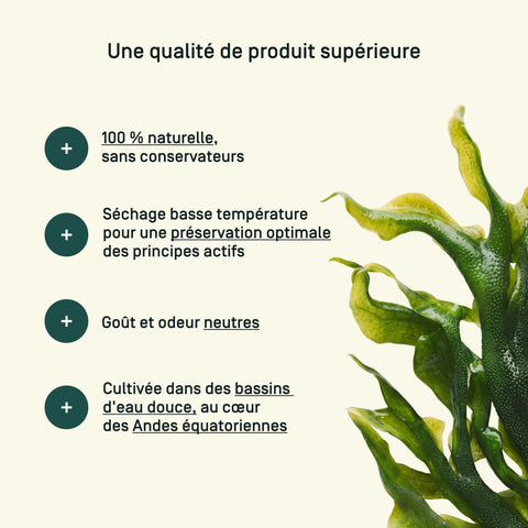 Spiruline Bio — qualité & traçabilité