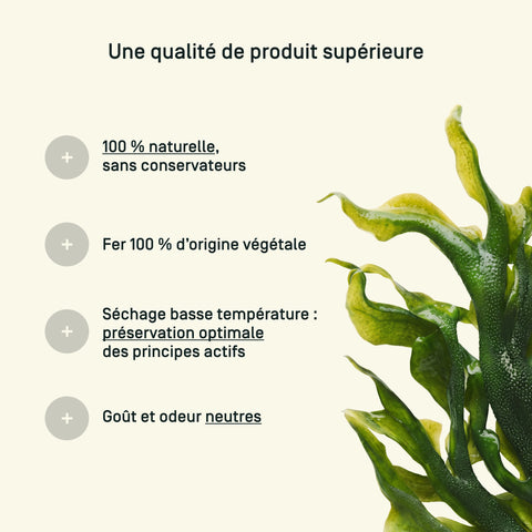 Spiruline Fer Bio — qualité & traçabilité