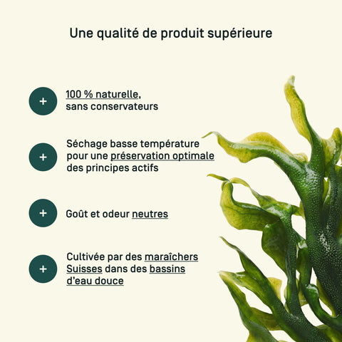 Spiruline Immuno+ — qualité & traçabilité