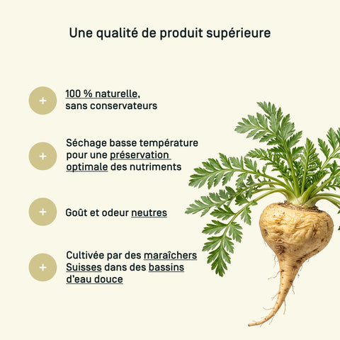 Spiruline Maca — qualité & traçabilité