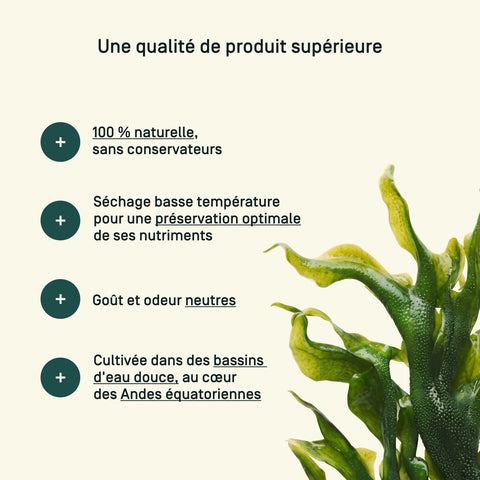 Spiruline Zinc — qualité & traçabilité